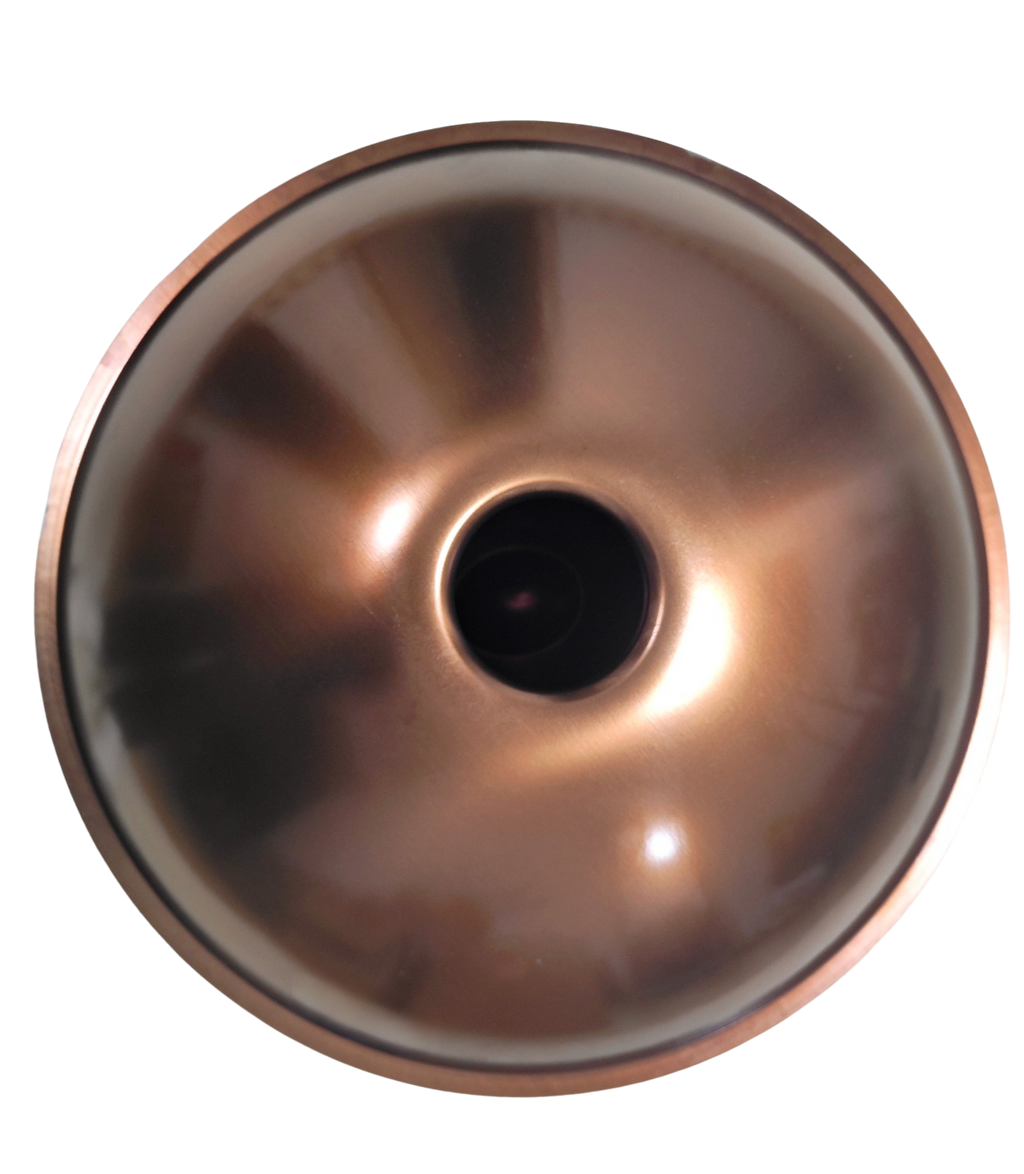 OHR Handpan 10-Note D Kurd (Professional Series)